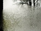 BON IVER FOR EMMA FOREVER AGO NEW SEALED VINYL LP IN STOCK