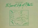 Stevie Wonder - Journey Through The Secret Life Of Plants (2xLP, Album, Tri)
