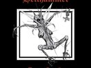 HELLHAMMER DEMON ENTRAILS 3X LP COMPILATION PICTURE DICS LIVRET/ BOOKLET POSTER
