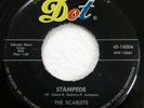 SCARLETS 45 Stampede/Park Avenue surf garage instrumental on Dot c4845