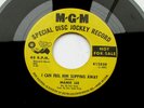 MAMIE LEE Northern Soul - I CAN FEEL HIM SLIPPING AWAY - MGM  EX 45 RPM RECORD