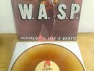 WASP Animal F*** Like A Beast LP 1st Press 12 KUT 109 MFN France gold clear lp m
