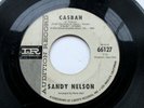Sandy Nelson 