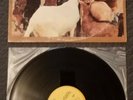 THE BEACH BOYS-Pet Sounds-MONO Original 1976 Vinyl LP-BRIAN WILSON'S CLASSIC