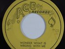 Blues Rocker 45 LIGHTNING HOPKINS Wonder What Is Wrong With Me ACE HEAR