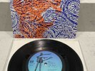 Nirvana Teriyaki Asthma Compilation Vinyl 7” Features Mexican Seafood