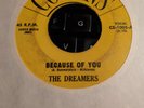 45 - DooWop - The Dreamers - Because of You / Little Girl - Cousins - original
