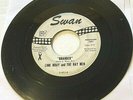 Link Wray and the Ray Men - Branded/Hang On 45 Swan Promo rockabilly/surf HEAR