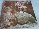 The Abyssinians – Satta Massagana- LP -VG