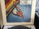 THE FIXX Reach The Beach VG+ Vinyl in Shrink with HYPE STICKER