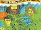 The Beach Boys **Endless Summer **NEW RECORD LP VINYL