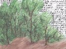 EXPLOSIONS IN THE SKY - THE EARTH IS NOT A COLD DEAD PLACE NEW VINYL