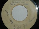 Boss Reggae Rocksteady - SHAKE IT UP - THE PIONEERS - AMALGAMATED PRE - MP3 clip