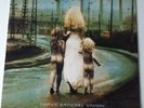 Soul Asylum - Grave Dancers Union - Vinyl LP Europe 1st Press 1992 EX/EX+
