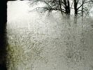 Bon Iver: For Emma Forever Ago :LP vinyl *BRAND NEW*: