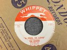 The Robins A Fool In Love / All Of A Sudden My Heart Sings 7