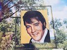 ELVIS PRESLEY 12