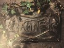 THE DAMNED - The black album - LP MINT