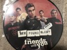 New Found Glory My Friends Over You Picture Disc Vinyl Record LP Single Blink