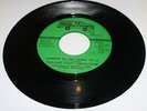 East coast connection US New Directions 45 Summer in the parks