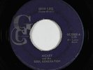 Funk 45 - Mickey & The Soul Generation - Iron Leg - GC - mp3