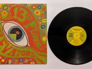 13th Floor Elevators Psychedelic Sounds MONO 1st Press Yellow Label RARE 1966