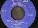 RICHARD BERRY & PHARAOHS: louie louie / rock rock rock FLIP 7