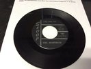 SANZ, INCORPORATED: I JUST WANT YOU -I'LL NEVER FORGET U.S. 7