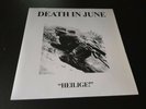 death in june-blood axis-ljdlp -  lp''- coloured --Neofolk- 6