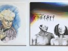 The Front Bottoms - Rose & Going Grey Vinyl Lp Bundle Coloured Alternative Indie