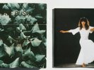 KATE BUSH Single File 1978-1983 box set UK 7” 45 picture sleeve x13 NICE