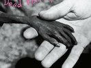DEAD KENNEDYS-PLASTIC SURGERY DISASTERS (UK IMPORT) VINYL NEW
