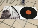 Pearl Jam Vs - 2011 Reissue - Vinyl Record - NM/NM 1LP