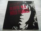 NICK DRAKE   AN EXPLORATION OF - HEAVEN IN A WILD FLOWER ** 1985 ISLAND LP