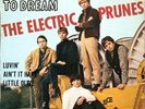 The Electric Prunes-I had too much to dream-7