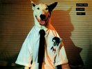 Rick Springfield - Working Class Dog - Vinyl Record.. - F7350F