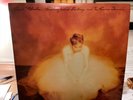 SARAH McLACHLAN Fumbling Towards Ecstasy Classic Records 180 gram 2 LP NM/NM+