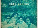 COOL SPRING Ohio Peppermint Private Label GARAGE PSYCH MELODIC POP VINYL LP VG+