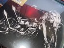 Lady Gaga BORN THIS WAY / REIMAGINED 10th Anniversary NEW SEALED VINYL 3 LP