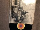 STEELY DAN LP Pretzel Logic 1974  Mca    vinyl