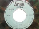 Hirut Bekele & Alemayehu Eshete - Temelese - Ethio Funk 45 Amha AE 560