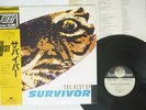 SURVIVOR BEST OF SCOTTI BROTHERS C20Y0065 JAPAN OBI VINYL LP