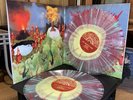 The Sunlandic Twins of Montreal Green & Red Splatter On Yellow Ltd 500 Newbury