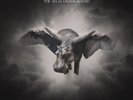 Tom Morello - The Atlas Underground [Black & Gold Splatter Vinyl] NEW Sealed LP