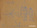 The Brian Jonestown Massacre Aufheben (Vinyl) 12