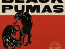 Black Pumas - Black Pumas (Super Deluxe Edition) Vinyl 2LP + 7
