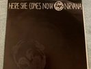 Nirvana / The Melvins and Buzzo 'Here She Comes Now' 