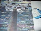 ELVIN JONES : LIVE AT THE LIGHTHOUSE 2LP 1972 BLUE NOTE BST 84427 GERMANY