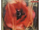 Love and Money ‎LP Vinyl Dogs IN the Traffic/Fountain 848 993-1 New