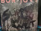 Bon Jovi/ Slippery When Wet (Vinyl LP1986)